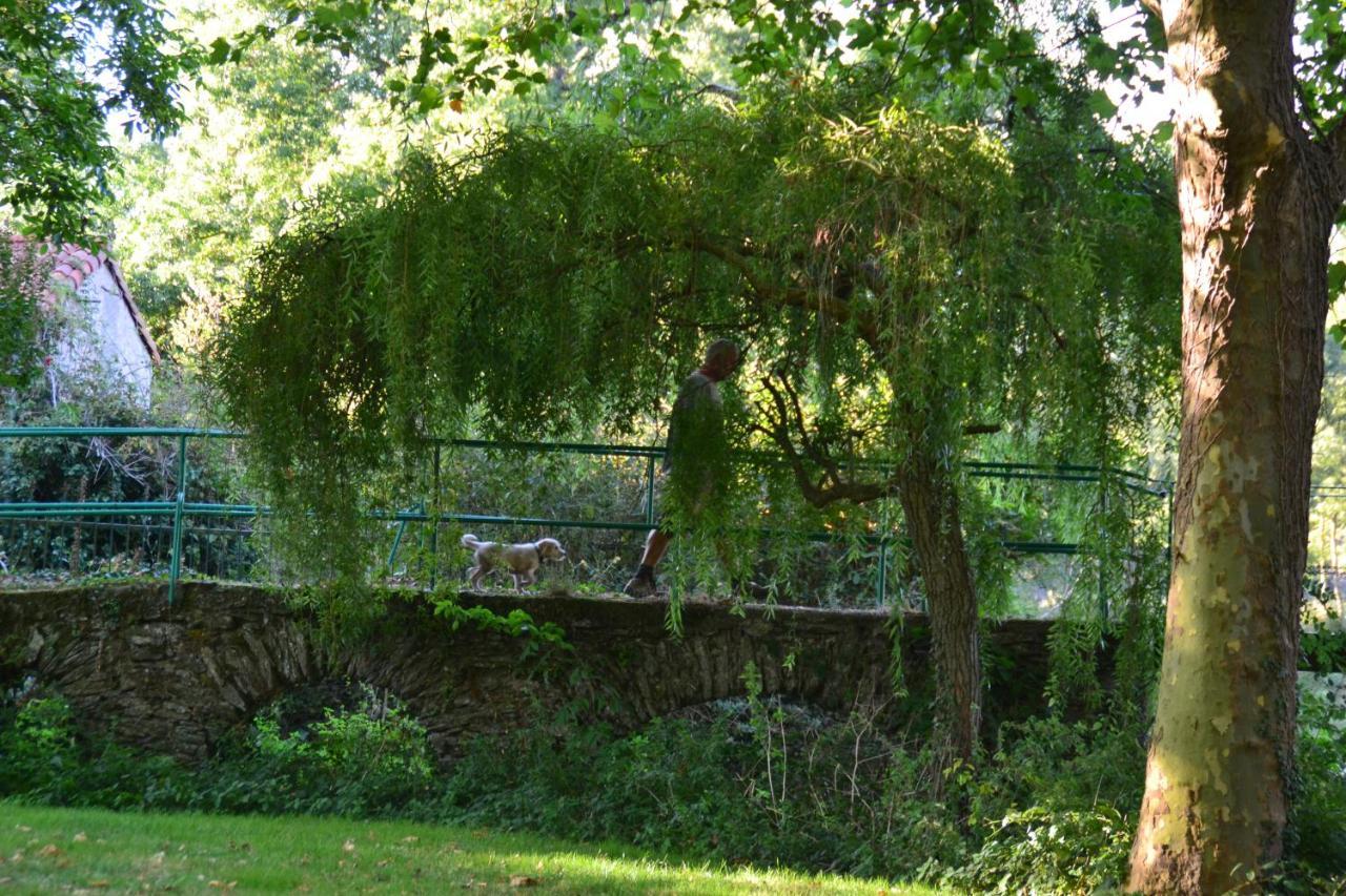 Le Moulin Neuf Villa Beaupreau-en-Mauges Ngoại thất bức ảnh