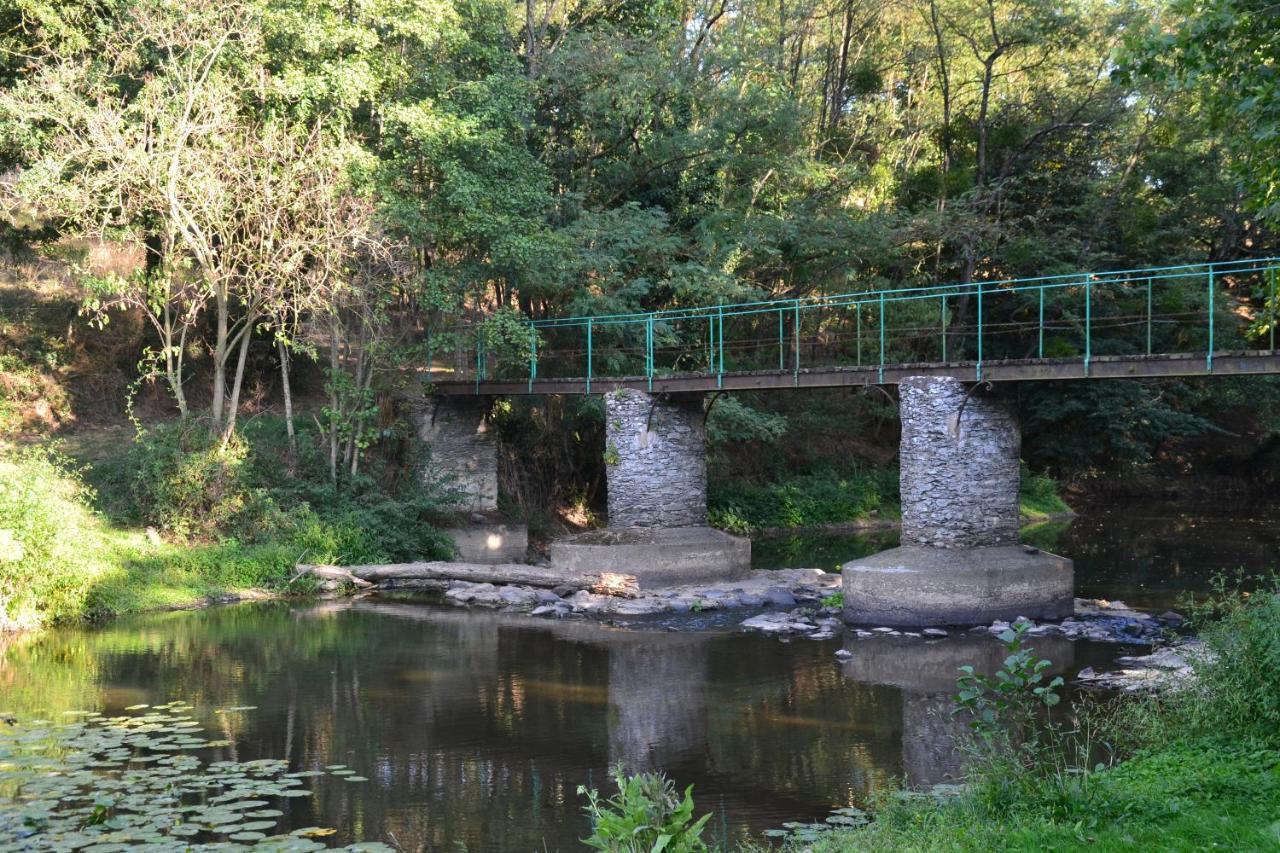 Le Moulin Neuf Villa Beaupreau-en-Mauges Ngoại thất bức ảnh